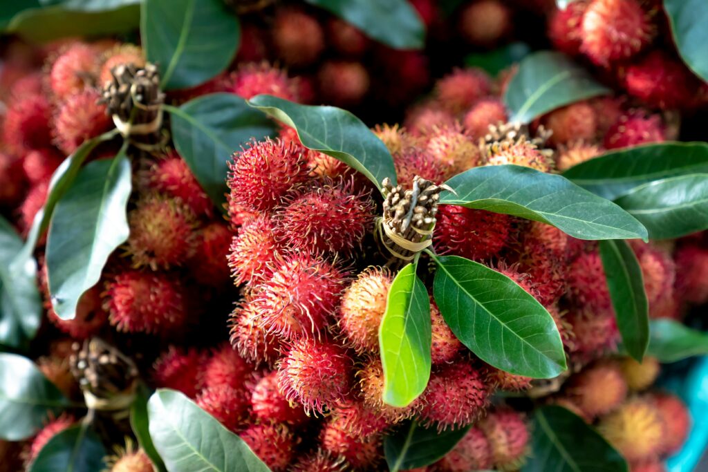 Popular fruit varieties Asia