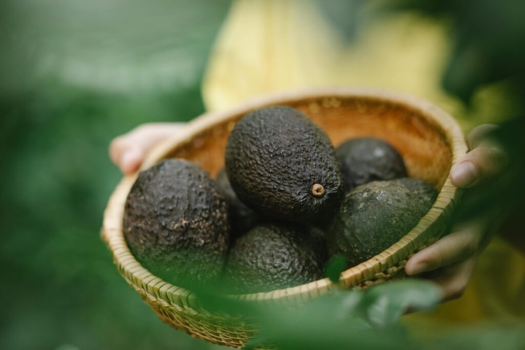 Australian premium fruits