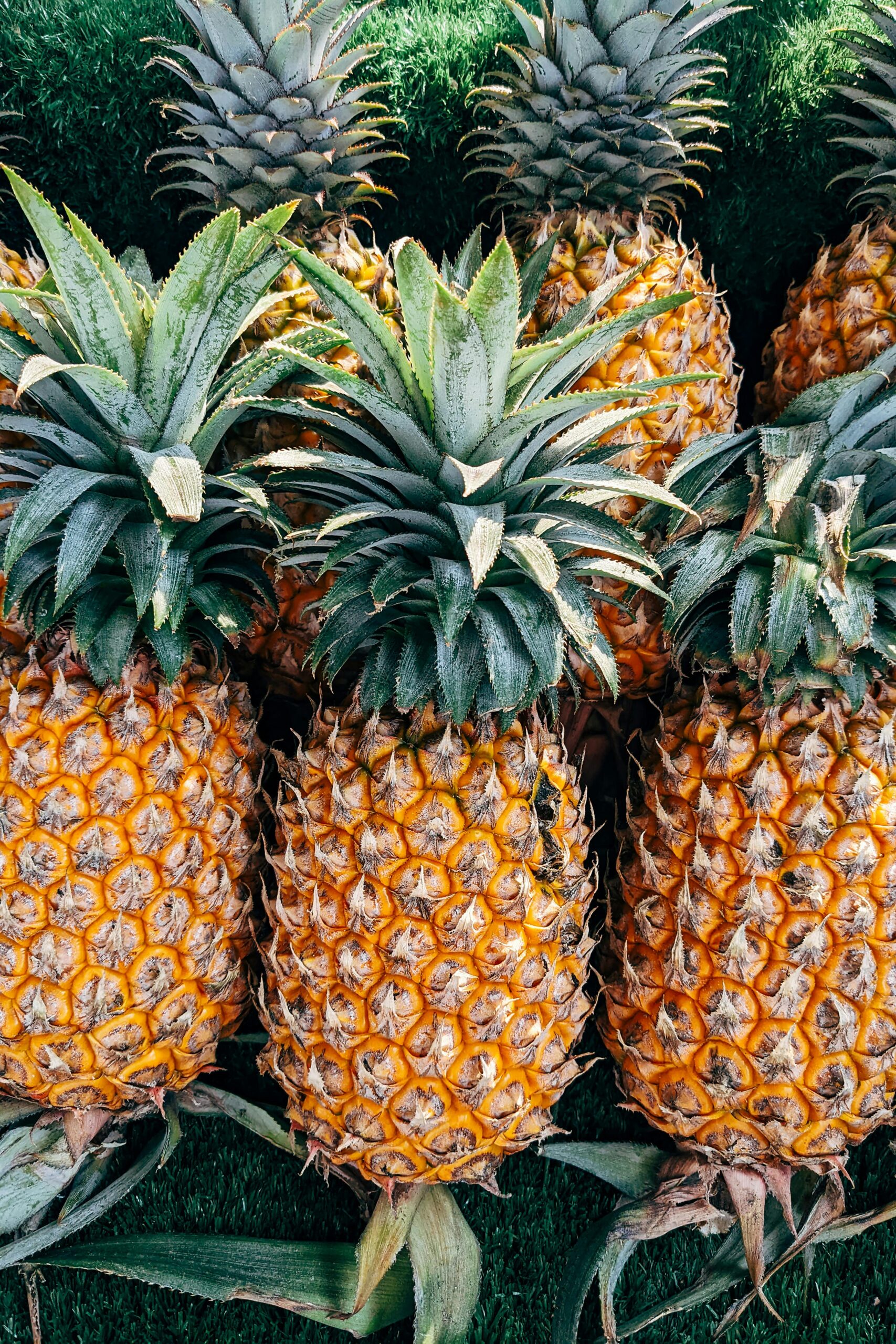 Sri Lankan Fresh Fruits