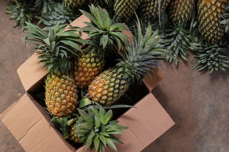 Sri Lankan Tropical Fruits